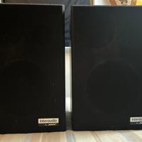 Bose Interaudio XL 1000