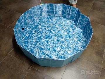 piscina per cani