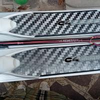 Pinne Carbon c4 Sideral + arbalete nemesis 105