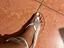 Immagine 2