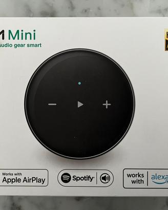 Streamer DAC Wiim Mini