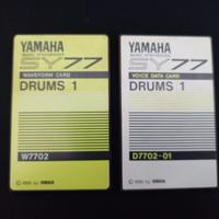 Wave form e Voice Data card per Yamaha SY77