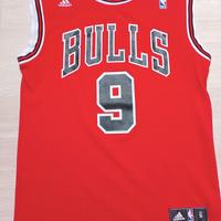 Chicago Bulls Luol Deng