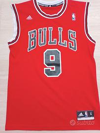 Chicago Bulls Luol Deng