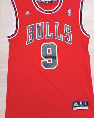 Chicago Bulls Luol Deng
