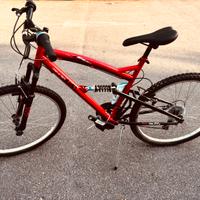 Bicicletta