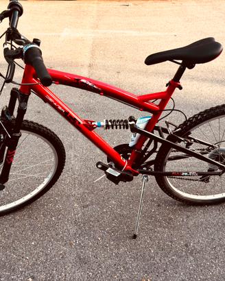 Bicicletta