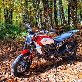 Ducati Scrambler Icon 800 pari al Nuovo