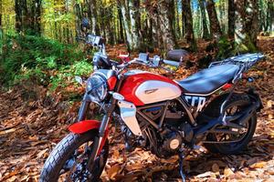 Ducati Scrambler Icon 800 pari al Nuovo