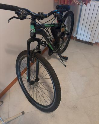 Bicicletta