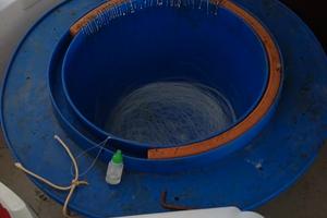 Palangaro palamito conzo coffo per pesce bianco