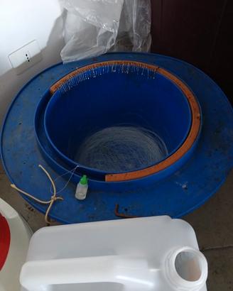 Palangaro palamito conzo coffo per pesce bianco
