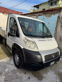 Ducato maxi