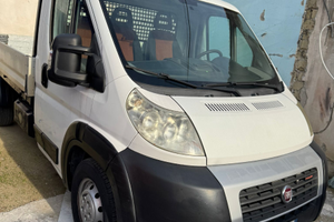 Ducato maxi