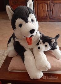 peluche 