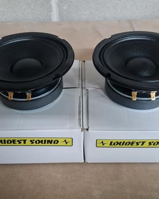 Altoparlanti Woofer Loudest Sound LS-PW6.4