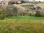 Immagine 14