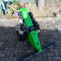 Motofalciatrice GRILLO B C S