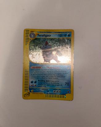 Feraligatr expedition ENG