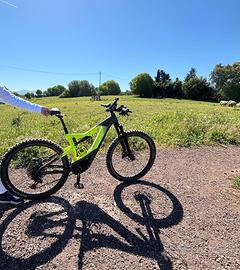 Bici elettrica ebike cannondale moterra