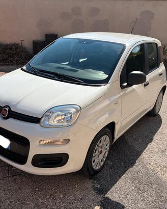 FIAT Panda 09/2017 1.2 Easy