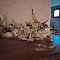 uccellini ornamentali