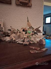 uccellini ornamentali