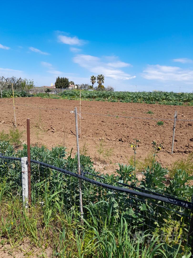 Terreno tinchi Mt - Vista 3