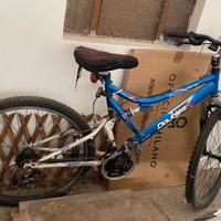 bicicletta uomo