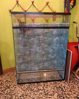 Teca x rettili 38x83x114h