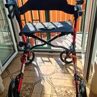 Deambulatore Wimed EPIC –