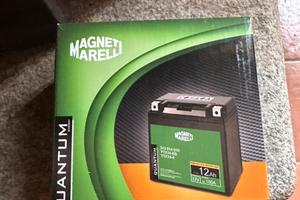 Batteria Magneti Marelli YTX14-BS