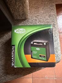 Batteria Magneti Marelli YTX14-BS