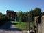 Immagine 9