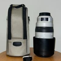 Canon 100-400 L IS II USM