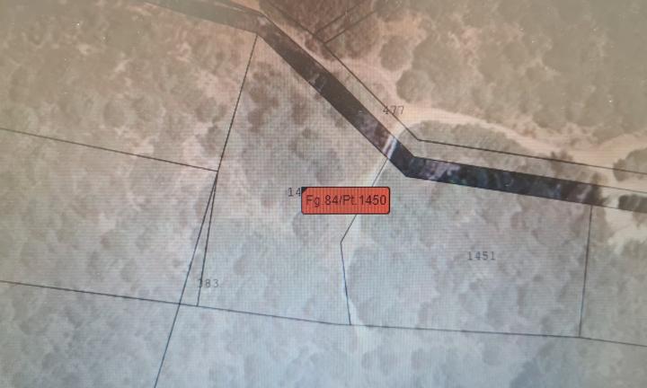 Lotti agricoli Solanas