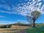 Immagine 9