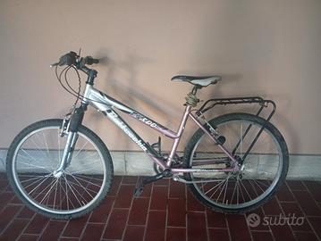 bottecchia fx500