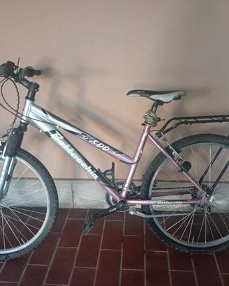 bottecchia fx500