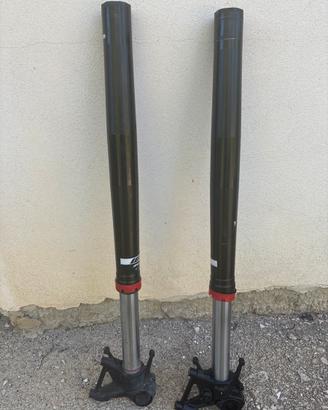 Forcelle e Pinze freno KTM 790