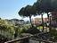 Immagine 7