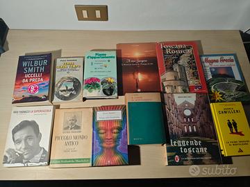 Lotto 11 Libri Vari Genere Romanzi e Saggistica