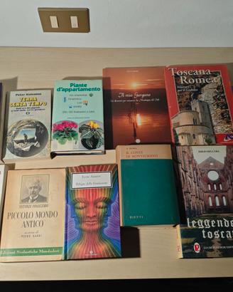 Lotto 11 Libri Vari Genere Romanzi e Saggistica