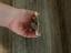 Immagine 2
