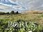 Immagine 26