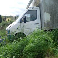 Mercedes 410 2900 cc