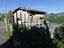 Immagine 7