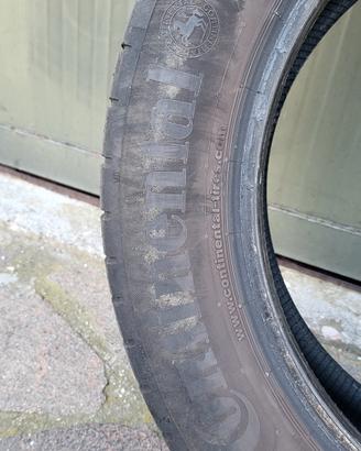 Gomme estive