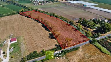 Terreno agricolo 2 ettari fronte strada