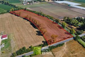 Terreno agricolo 2 ettari fronte strada